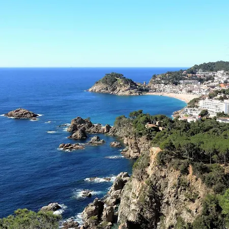 Danlux Oliva Tossa de Mar